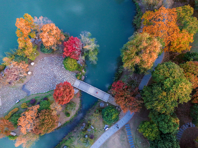 镇江，你变了！