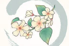 清明为何适宜放风筝？图片