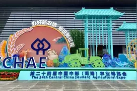 “宝丰虎狼爬岭秋月梨”获中部农博会金奖图片