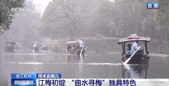 嗅梅香、赏梅韵 “梅”好时光激活周末经济