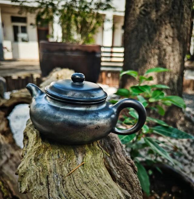 看直播，带“亭林小顾”回家