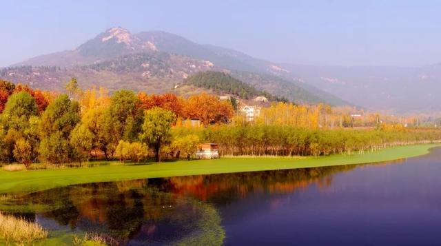 今日立冬！三个仪式解锁肥城初冬的终极浪漫！