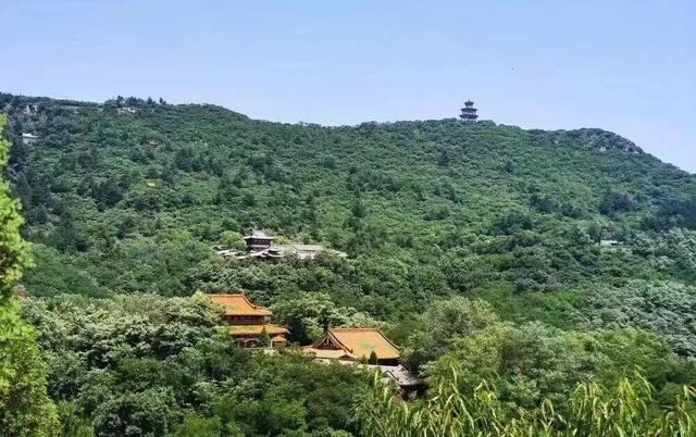 怡然见晋中：从山水古建到银杏音乐节，解锁秋日慢时光