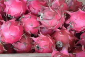 【贵州三农·公益助农】贵州农产品供求信息表（第105期）图片