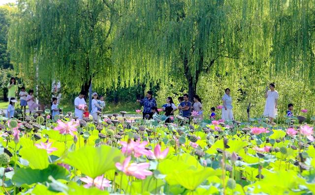 “两山”理念在河南丨中原大地“绿”更浓
