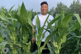 “河南物语”爆火网络，大河报记者独家对话神曲背后的男人图片