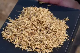 国新办将举行“自立自强发展载人航天”中外记者见面会『航天视窗』（1261）图片