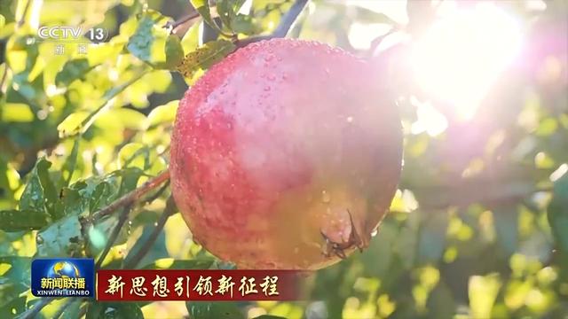 新思想引领新征程丨像石榴籽一样紧紧抱在一起