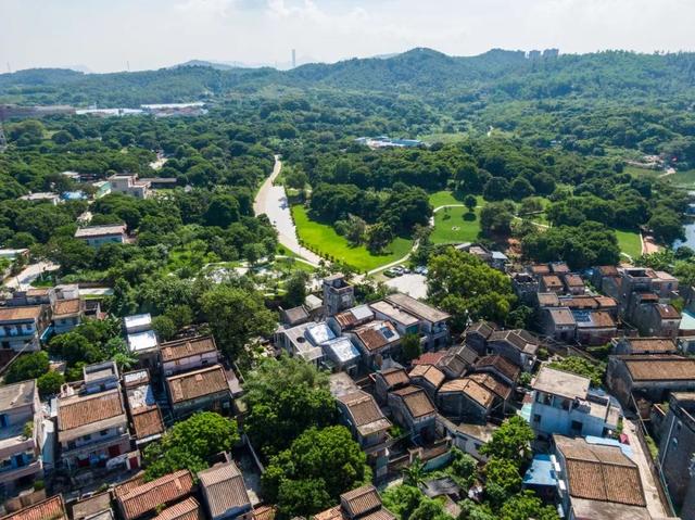 周末就出发！中山城区这条村，超治愈！