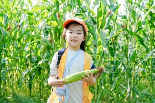 视觉增城｜“果”然有趣！快来正果邂逅甜蜜“丰”景