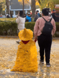 “银杏伞”火出圈！网友：不建议推广，因为我没有