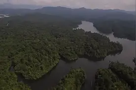 热闻|今天是全球老虎日！你知道我国的三大网红老虎吗？图片
