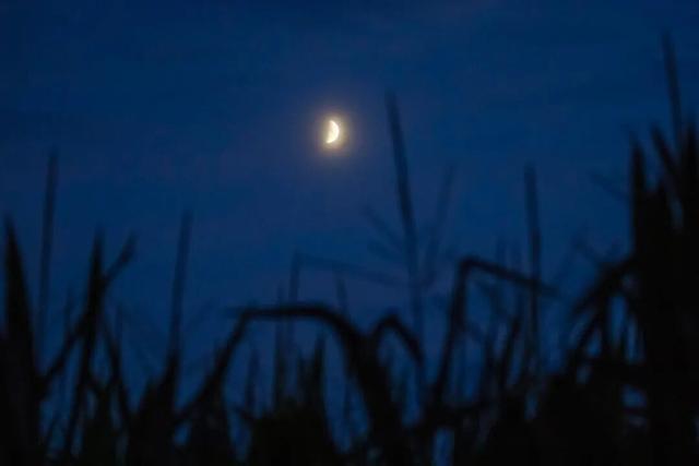 当纳凉变成避暑：那些街边吃晚饭、看星星的日子去哪了