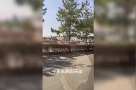 记者出差韩国vlog丨仁川，我来了！图片