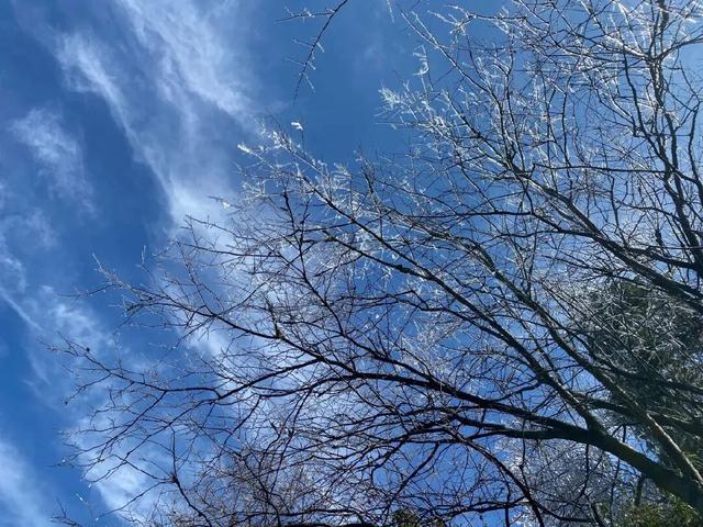 区县头条｜看！武陵山现冰挂美景