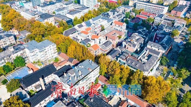 一年四季 泉在济南丨树影婆娑间，邂逅济南最温柔的秋天