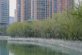 试过了，“公园20分钟效应”是真的！图片