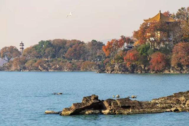 火！火！火！无锡这里被挤爆了！