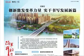 改革开放的河南实践之漯河篇｜召陵区：创新激发变革力量 实干书写发展新篇图片