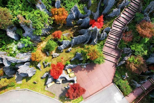 巴蜀风光丨川东有座山是“恋爱脑”？奇观和传说甜到齁！
