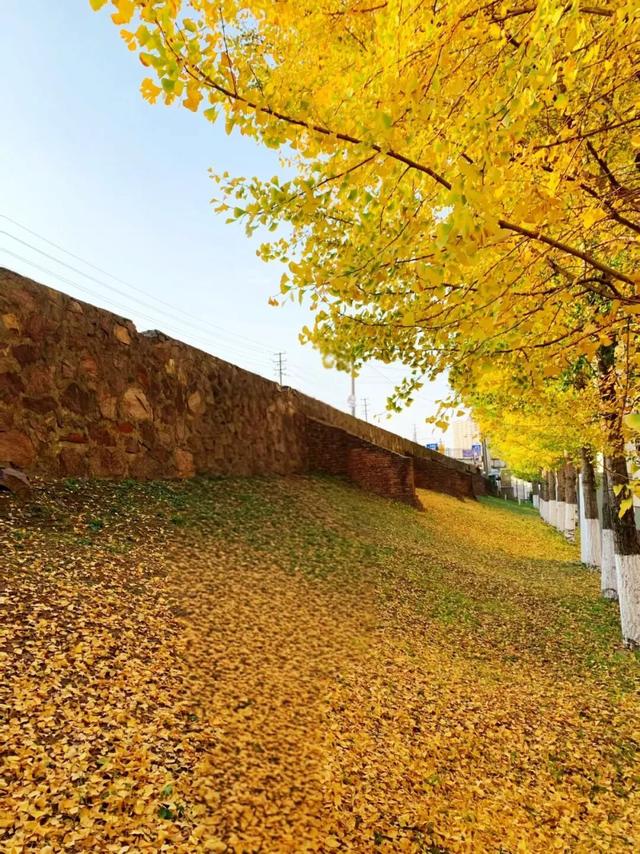 公安，等你入画