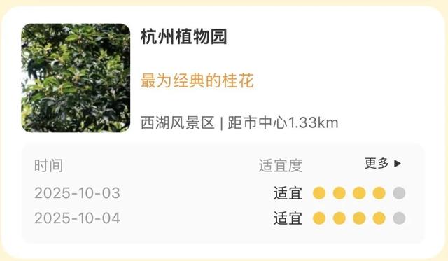 进度达70%！杭州即将进入全盛期，别错过！