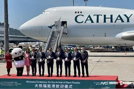 “国宝”抵港！直击香港各界喜迎大熊猫盛况，将定居海洋公园图片