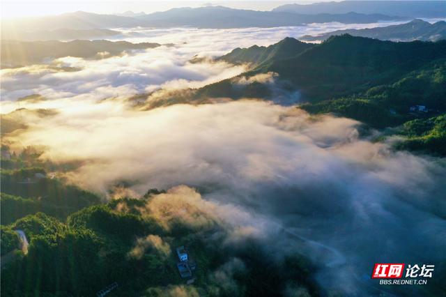 【每日一图@湖南】青娥山晨雾漫卷，定格天地间水墨丹青