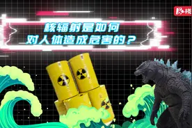 科普动起来丨日本福岛核污水排海，核辐射是如何对人体造成危害的？图片