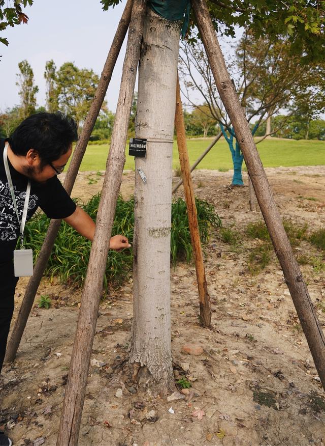 植物园不止失去一个秋天