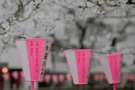 第一批中国“樱花难民”正在日本骂街图片