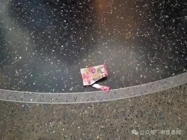 太令人不适！网友曝光这一幕：“像是刚野餐完了一样”，上海自然博物馆呼吁→