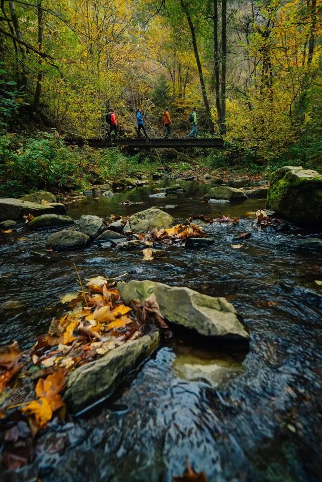 一脚踏进比利时的秋天丨12条「最美秋季徒步路线」全指南 Autumn Hikes in Belgium