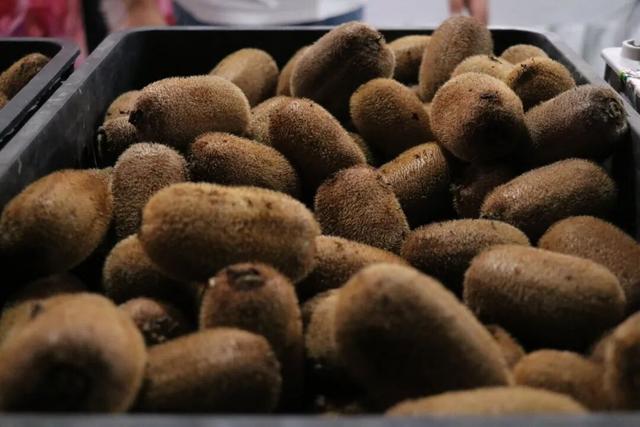 绥阳：音乐美食聚人气 文旅融合促消费