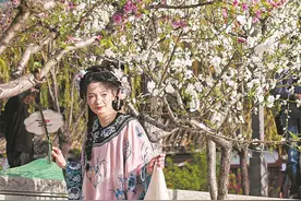 春日出游，踏青赏花正当时！图片