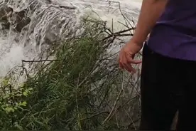 南宁一水库拦水坝上出现大量鱼群，有村民忙捞鱼 当地回应图片