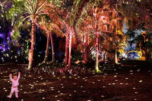 （外代二线）“夜间公园”灯光秀