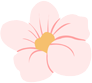 【速递】“盛世华章•诗颂中华”双节吟诵会在张裕酒庄成功举办