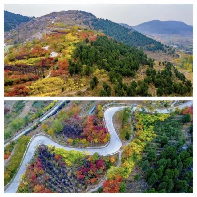 “泉”在济南享金秋——“一城山色·登山打卡”带你来赏红叶啦！