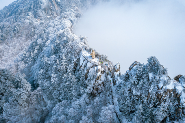 洛阳的第一场雪，来了！