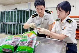 今年福建首批荔枝抢“鲜”出海图片