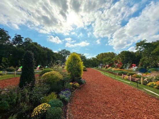 2025上海菊花展在共青森林公园举办 攻略请收好