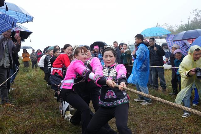 打糍粑、背媳妇、拔河……代化“九九重阳”皇帝坪登高节圆满落幕