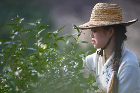 老山寻新记图片