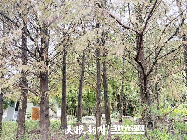 【天眼镜像】距遵义半小时,藏着一处秋日山水秘境