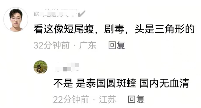 江苏常州一装修工人梦中突感凉意，感觉有动物爬过，打死后发现竟是一条蛇