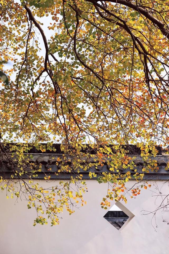 当代人需要的情绪价值，镇江给你！