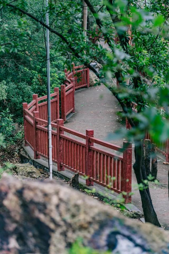 免门票！里水登高首选！3条赏秋路线→