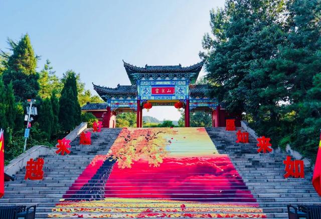 千年银杏引爆秋日灵泉山！两周迎客2万+