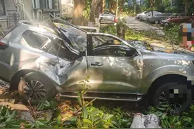 大风刮倒大树 成都一小区多辆汽车“遭了殃” 责任谁来负？图片